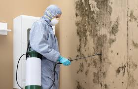 Best Residential Mold Inspection & Testing in Montour Falls, NY